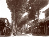 Koçarlı Yolu